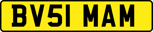 BV51MAM