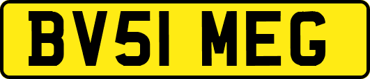 BV51MEG
