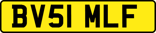 BV51MLF