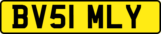 BV51MLY