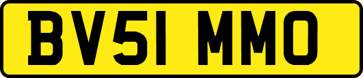 BV51MMO