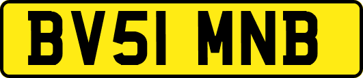 BV51MNB