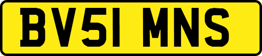 BV51MNS