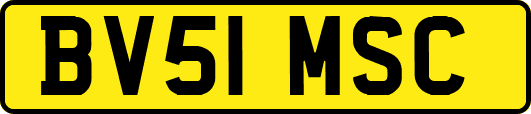 BV51MSC