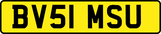 BV51MSU