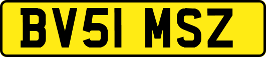 BV51MSZ