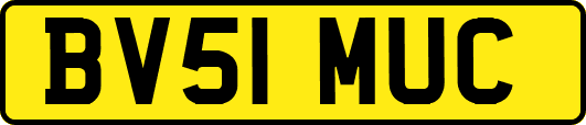 BV51MUC