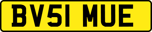 BV51MUE