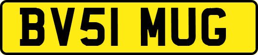 BV51MUG