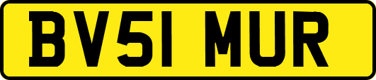 BV51MUR