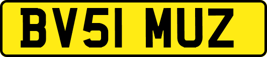 BV51MUZ