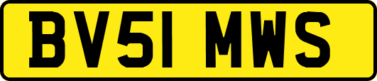 BV51MWS
