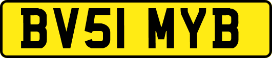 BV51MYB