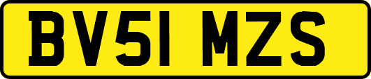 BV51MZS