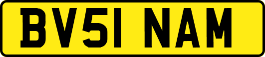 BV51NAM