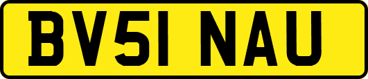 BV51NAU