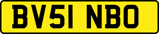 BV51NBO