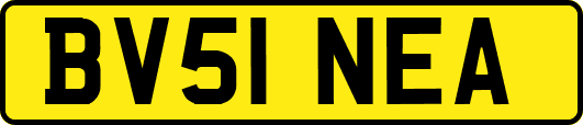 BV51NEA