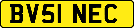 BV51NEC