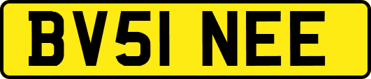 BV51NEE