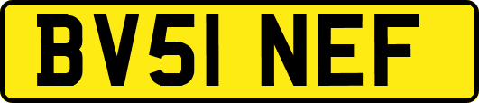BV51NEF