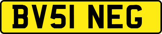 BV51NEG