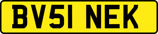 BV51NEK