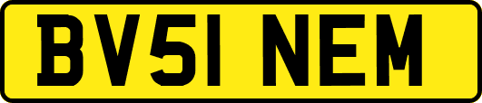 BV51NEM