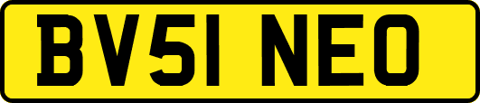 BV51NEO