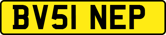 BV51NEP