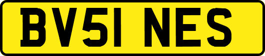 BV51NES