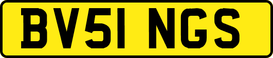BV51NGS