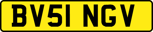 BV51NGV