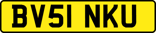 BV51NKU