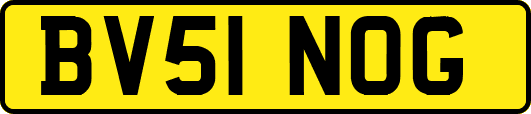 BV51NOG