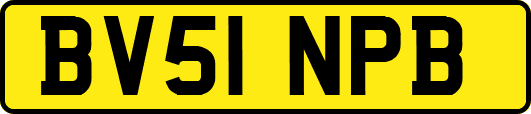 BV51NPB