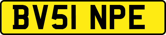 BV51NPE
