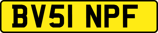BV51NPF
