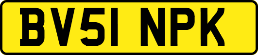BV51NPK