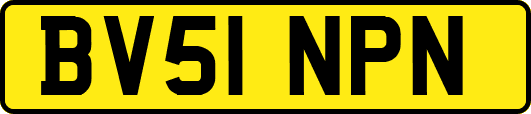 BV51NPN