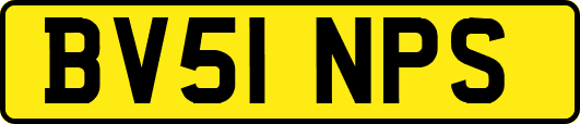 BV51NPS