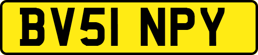 BV51NPY