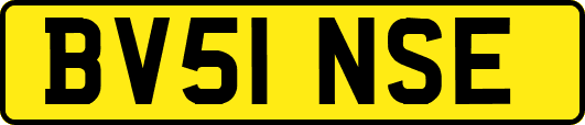 BV51NSE