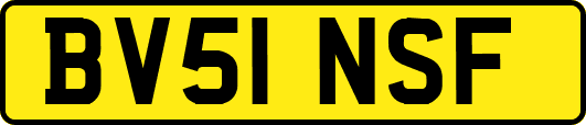 BV51NSF