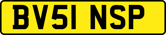BV51NSP