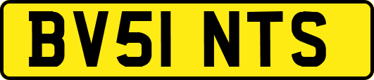 BV51NTS