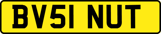 BV51NUT