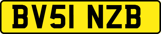 BV51NZB