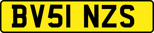 BV51NZS