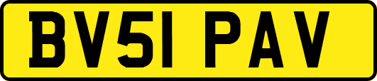 BV51PAV